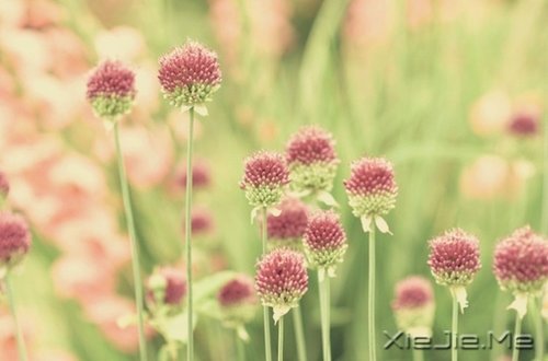 人生最清晰的脚印,往往印在最泥泞的路上 (3)