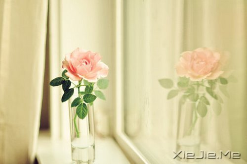 有人能让你痛苦,说明你的修行还不够 (8)