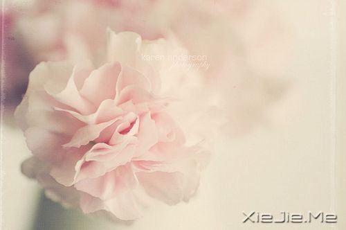 你只有读懂了生命之重,才能看淡时光之轻 (4)