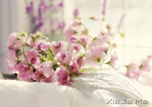 千万不要因为走的太久,而忘记了我们为什么出发 (7)