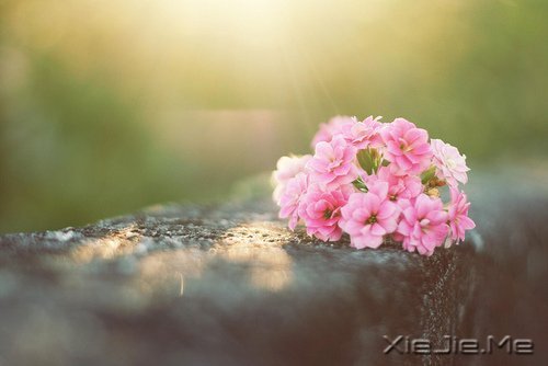 留下的,才是人生 (1)