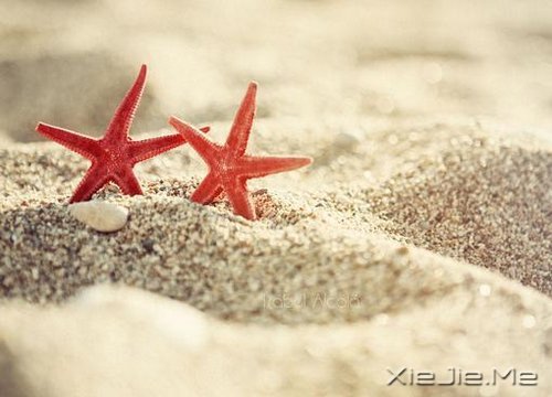 早安心语:让过去的都过去 (6)