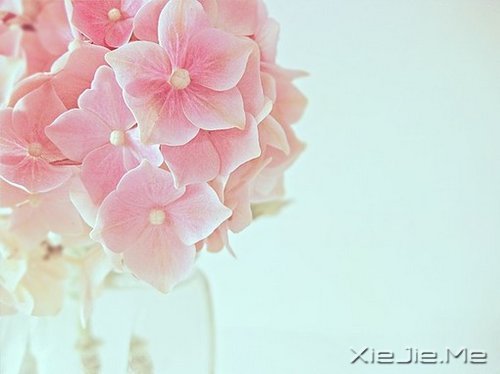 早安心语:找一个理由,去否认忧伤 (6)