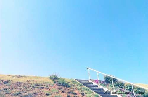 早安心语:只要你想,随时都可以开始 (3)