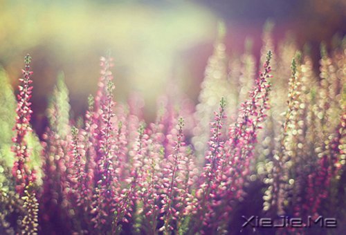 晚安心语:心复杂,世界就是迷宫 (3)